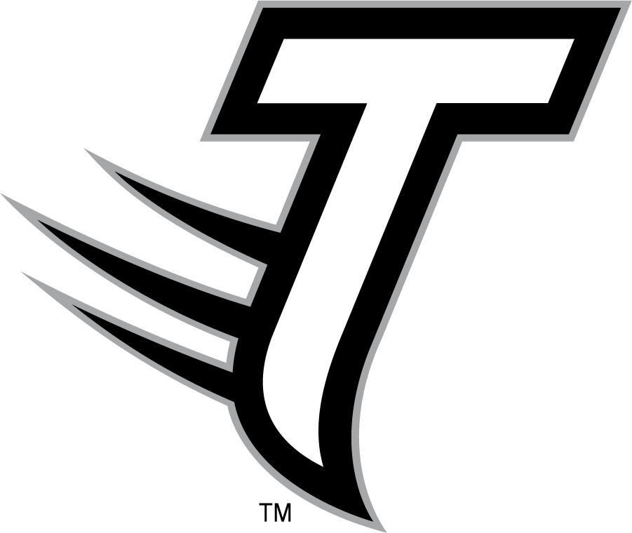 Towson Tigers 2002-2011 Secondary Logo diy DTF decal sticker